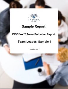 Try out the report on the market, DISCflex Team Behavior Report.